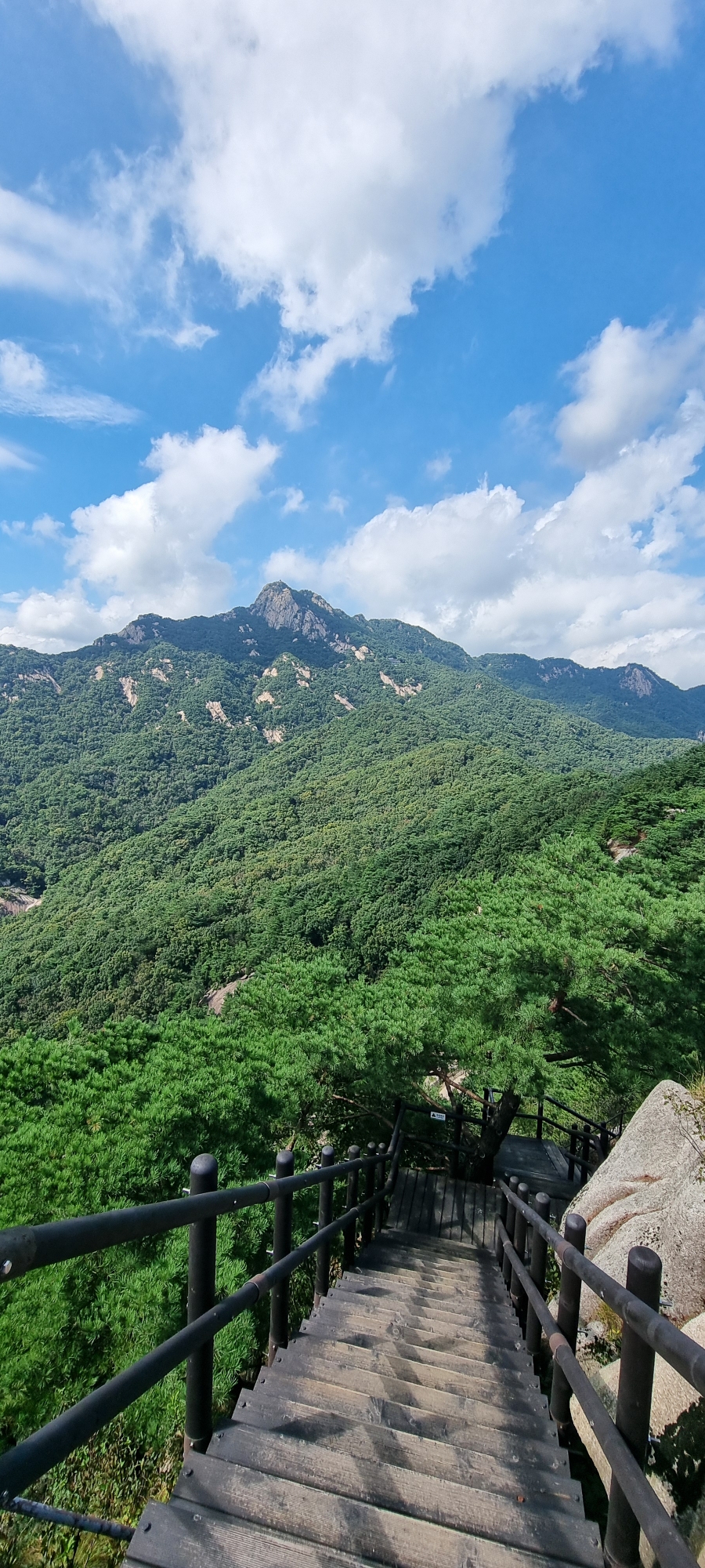 형제봉 정상 전망 이미지
