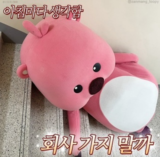 드론아이 이미지