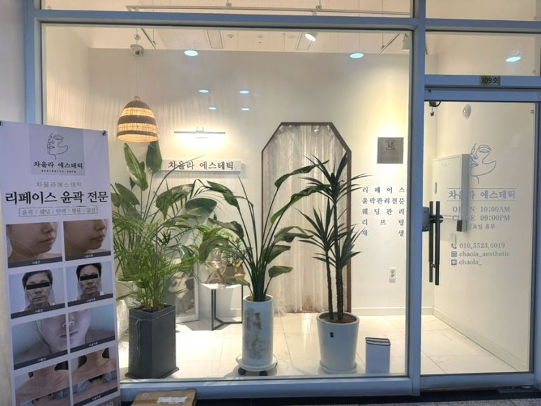 차올라카페 이미지