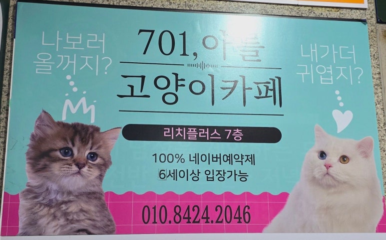 701아를고양이카페(cat in the art) 이미지