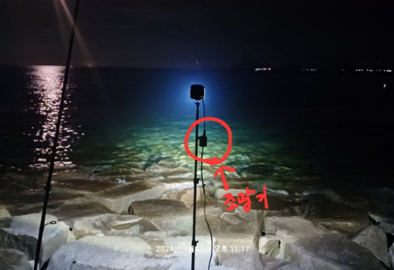 해초롱 이미지