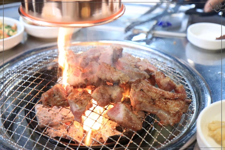 돼지에서 소까지 이미지