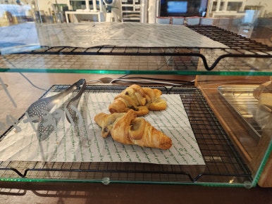 송즈 이미지