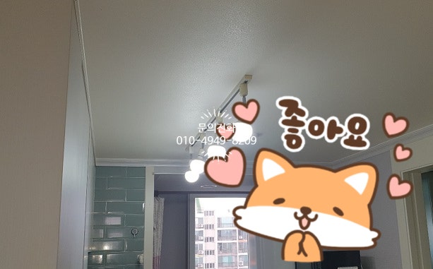 무지개전기조명 이미지