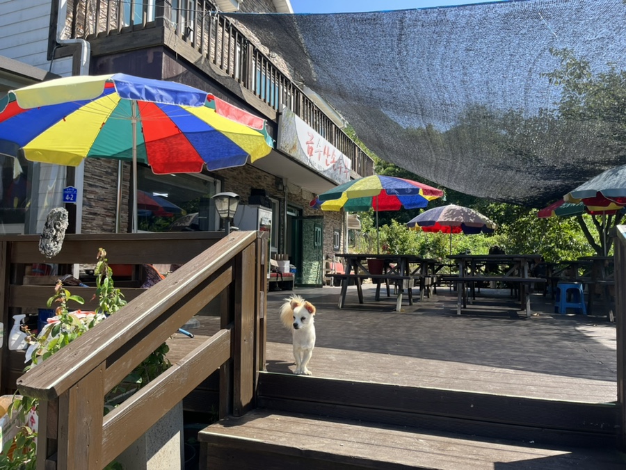 금수산손두부 이미지