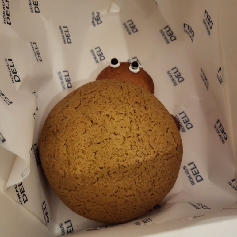 로카우스델리 이미지
