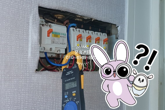 무지개전기조명 이미지
