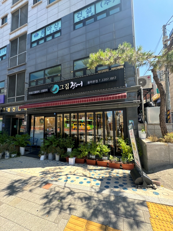 그집장어 이미지
