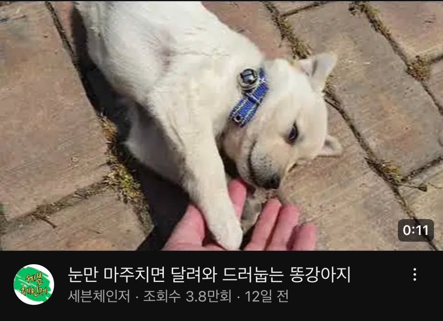큐티 이미지