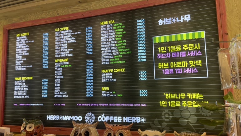 허브나무 이미지