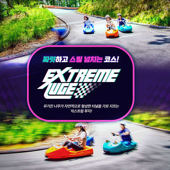 익스트림 루지 이미지