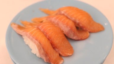 스시벅스연어가맛있는 이미지