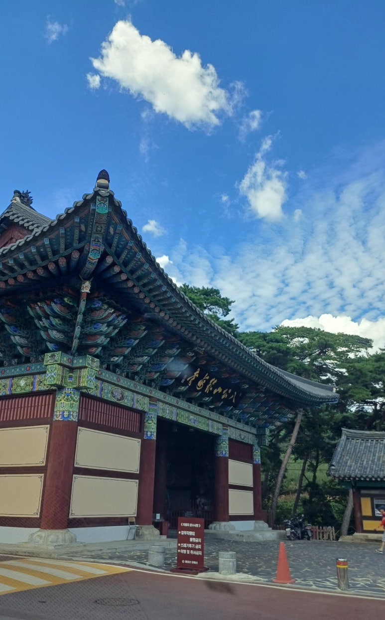 수림장 이미지