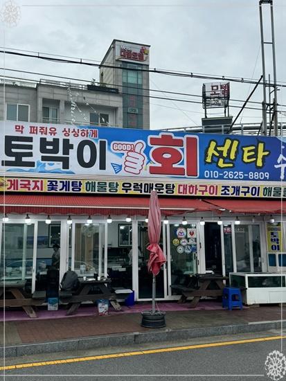 파티센타 이미지