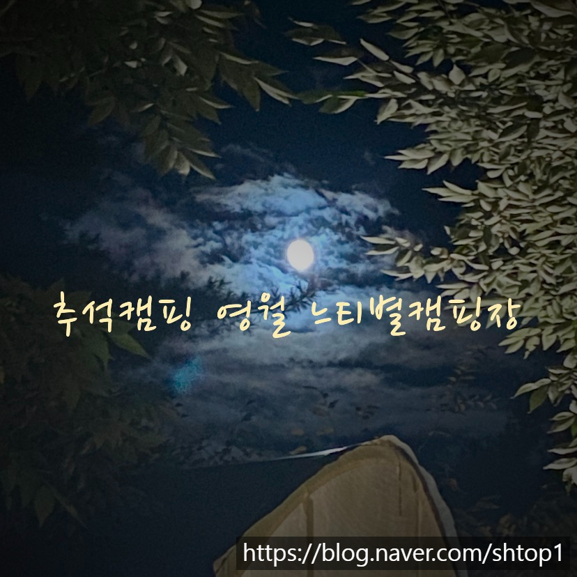 영월계곡 느티별캠핑장 이미지