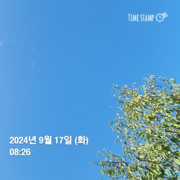 와따캠핑장 이미지