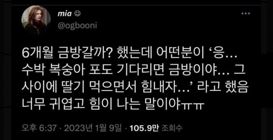 초록의파랑 이미지