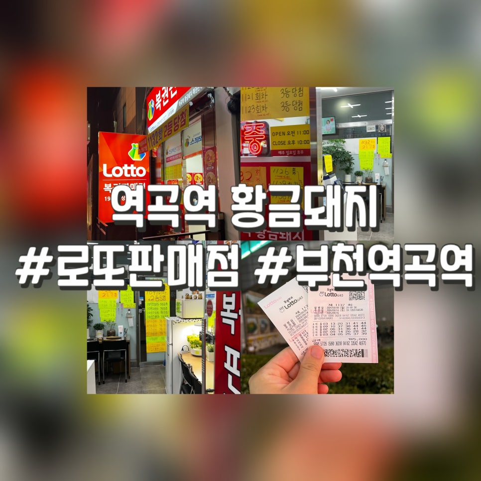 돼지복권명당 이미지