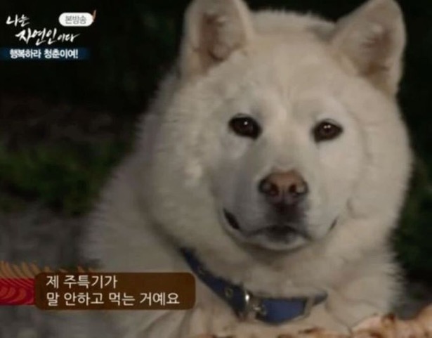 없음 이미지
