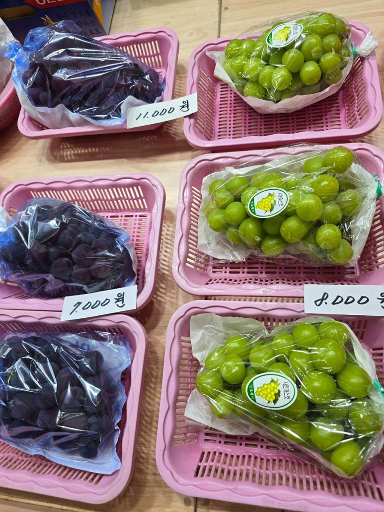 사거리청과 이미지