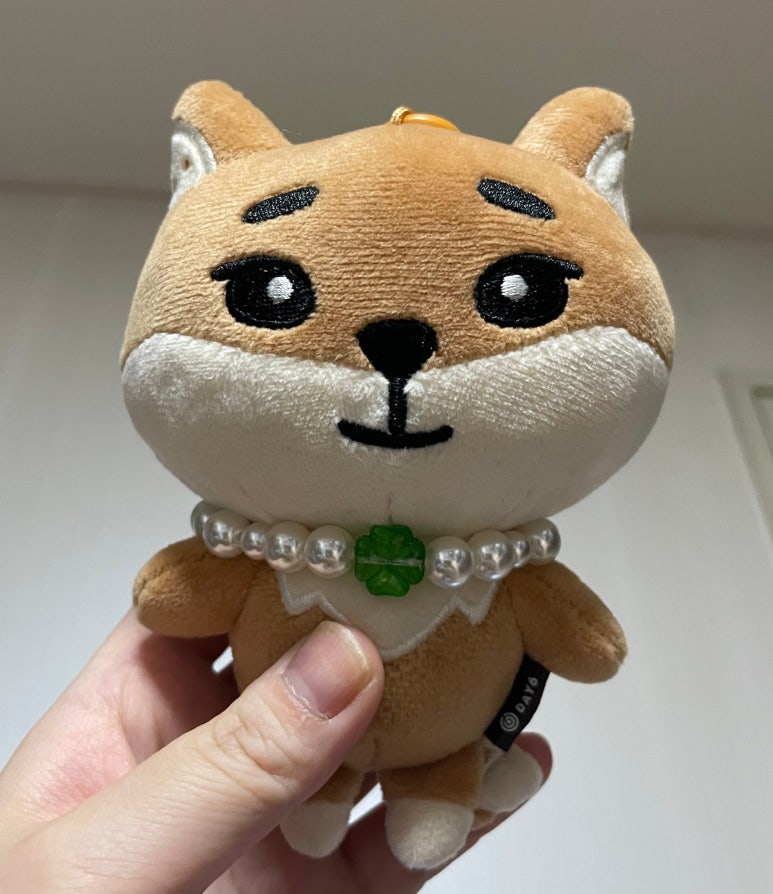 케***** 이미지