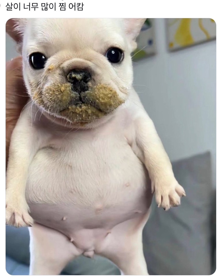 큐티 이미지