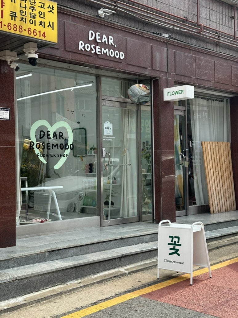 디어로즈무드 이미지