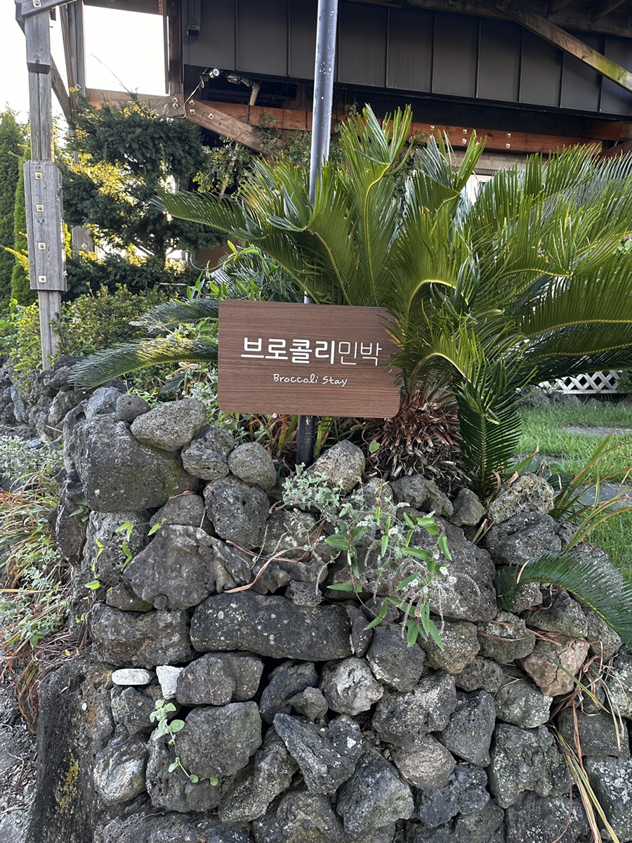 브로콜리민박 이미지