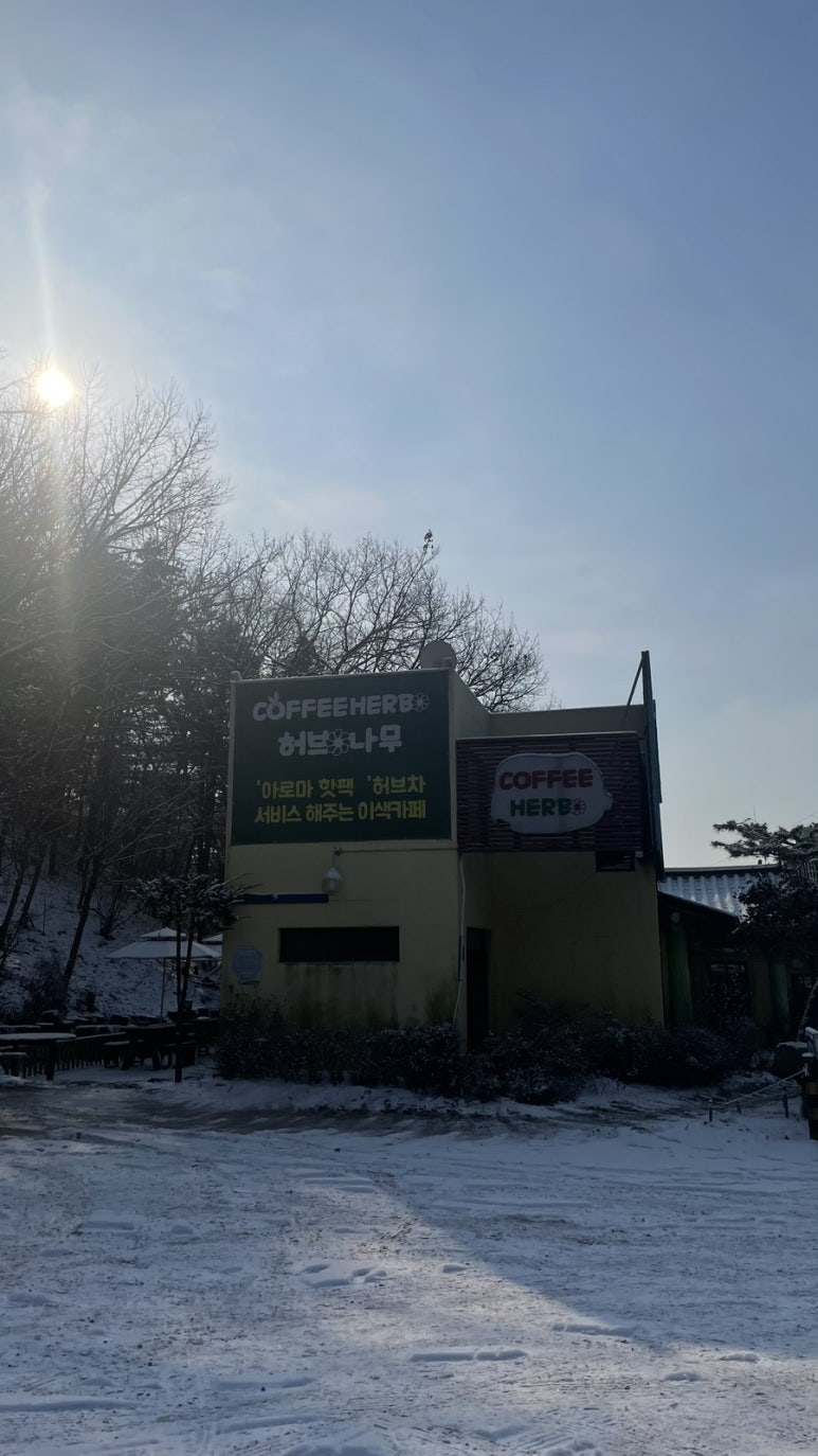 허브나무 이미지