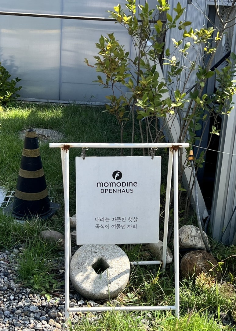 모모다인 이미지