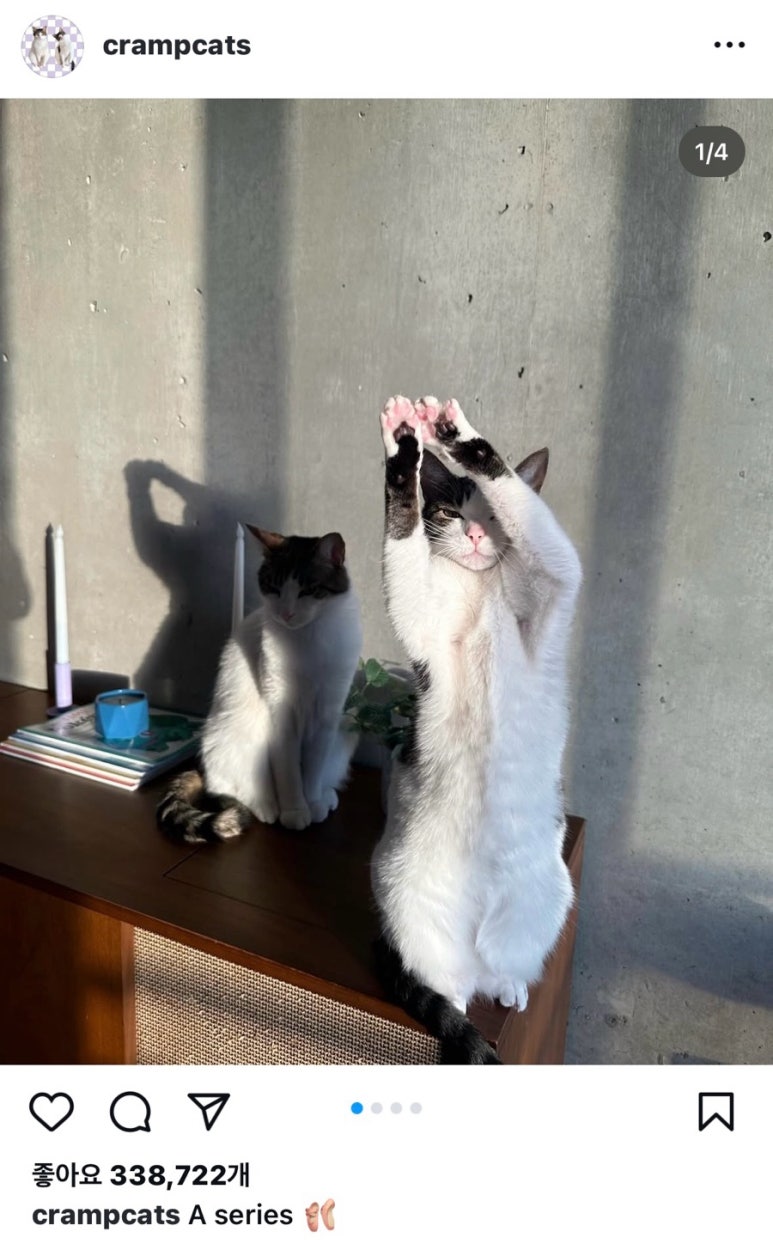 (주)리몬 이미지