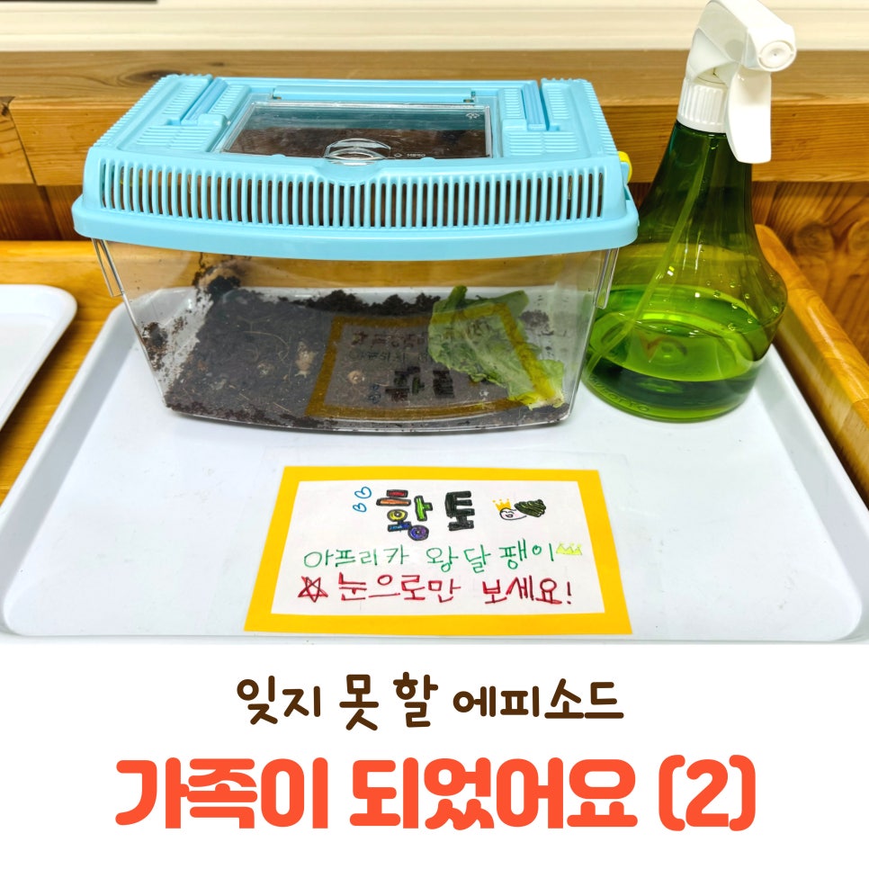 다솔황토 이미지