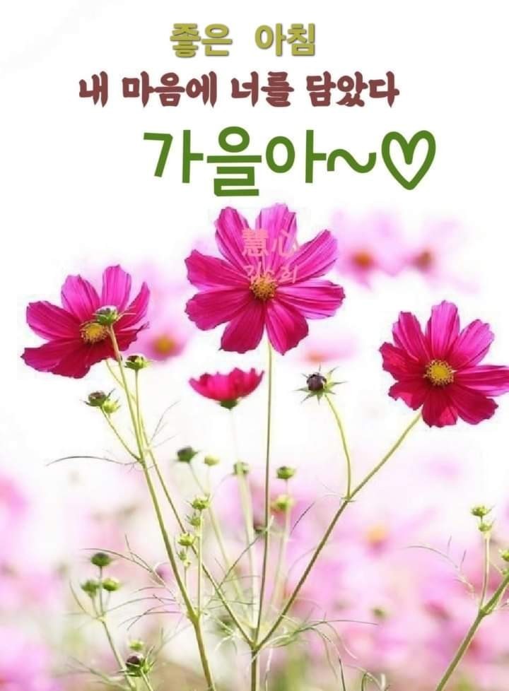 중용 이미지