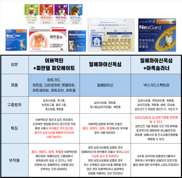 엔젤세이버 이미지
