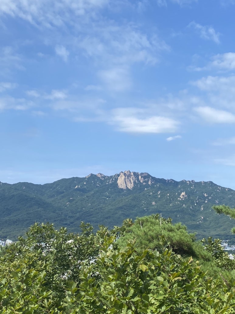 다해온 이미지