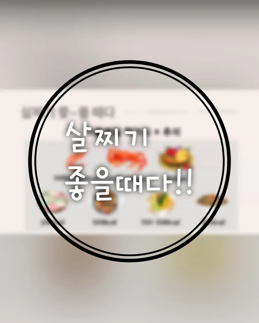 메타플러스 이미지