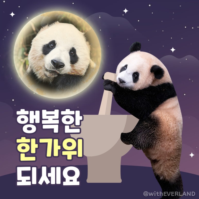 바오 이미지