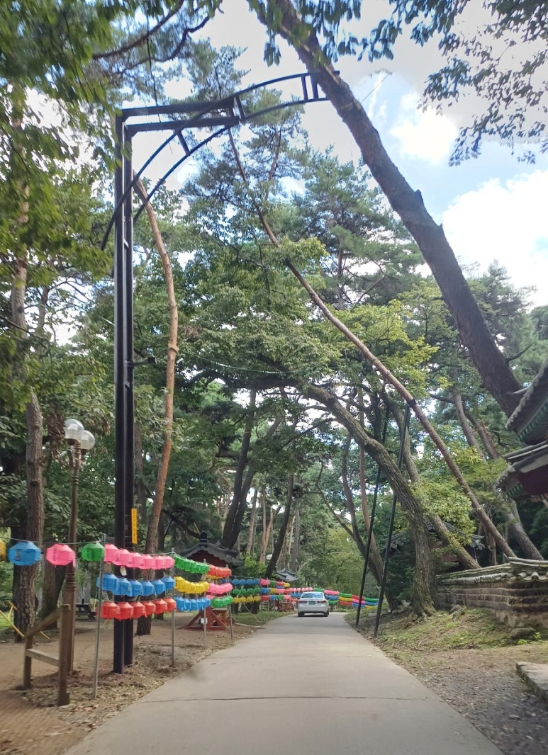 수림장 이미지