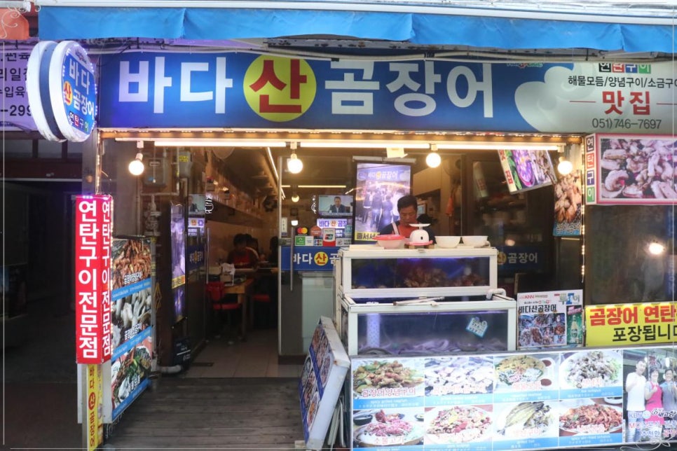 바다산곰장어 이미지