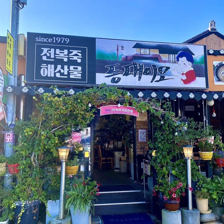 등대이모 이미지
