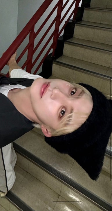 대신양은 이미지