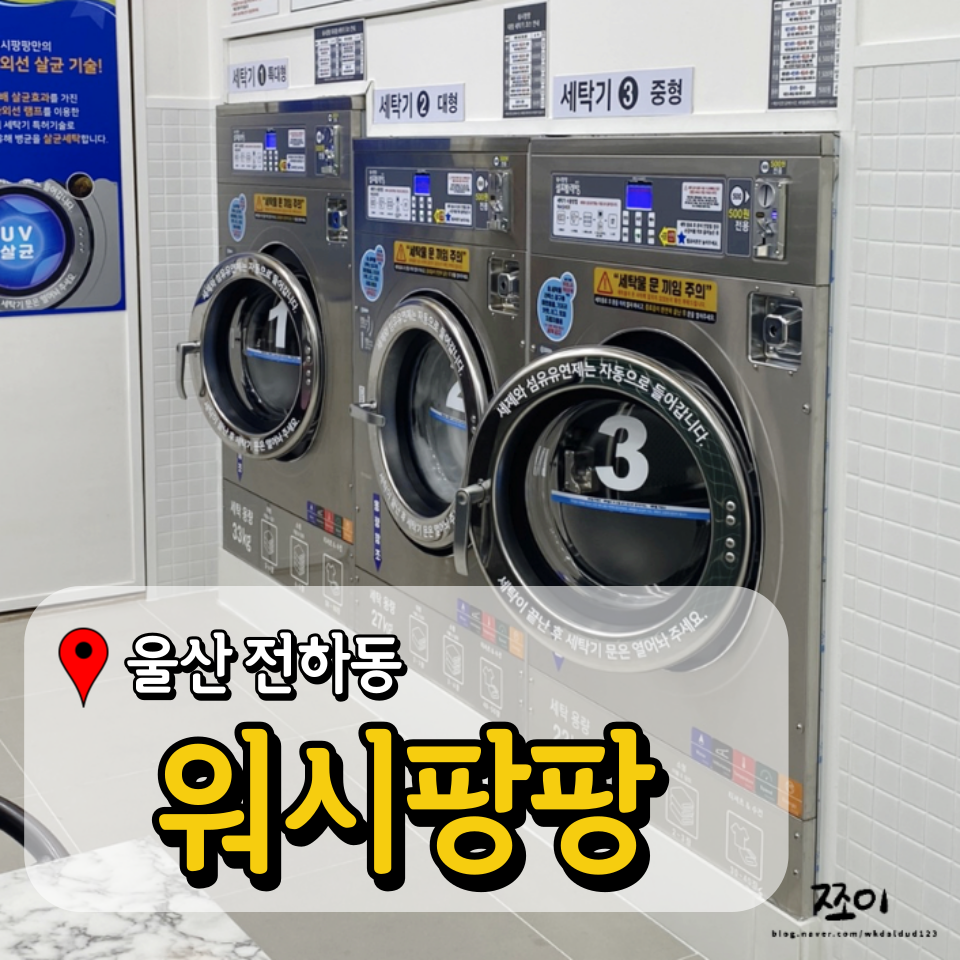 전하세탁 이미지