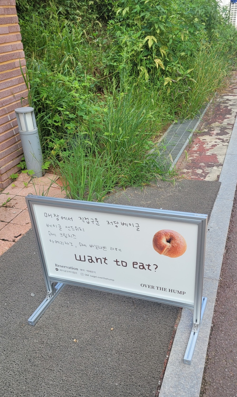 오버더험프 이미지