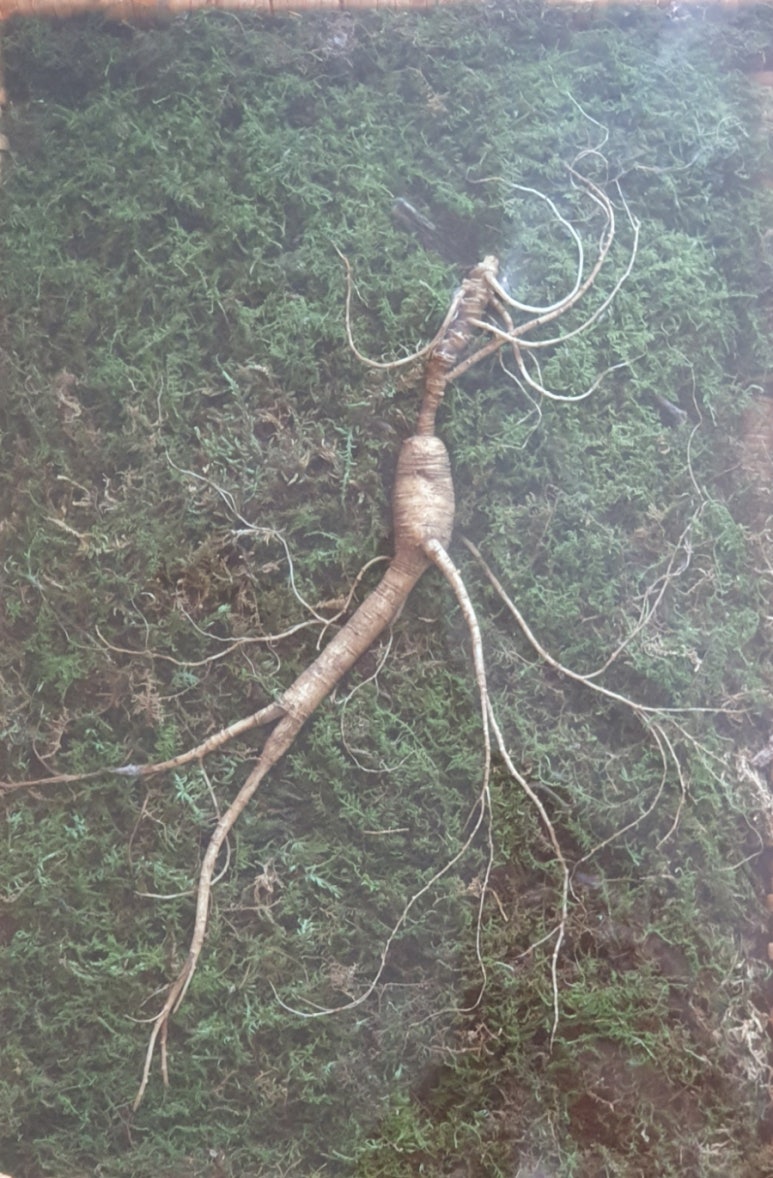 일찬 이미지