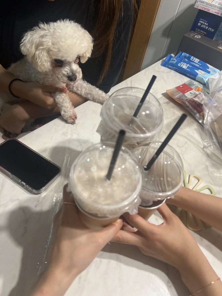 콜로라도빈대떡 이미지