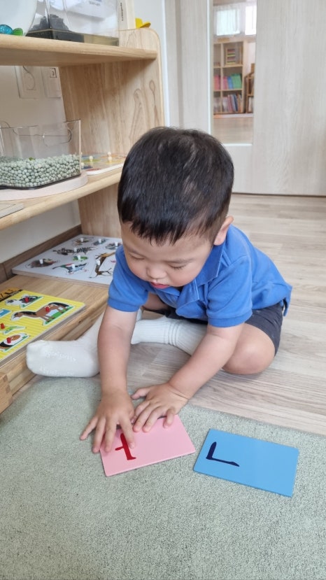 에이치몬테소리 이미지