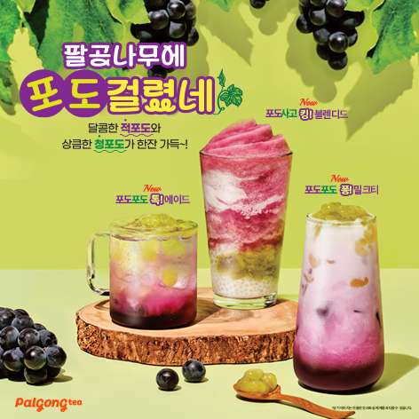 팔공티 이미지