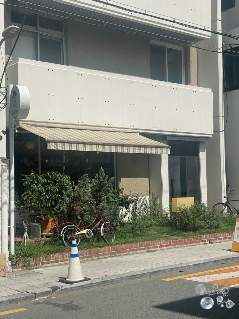 카페자매집 이미지