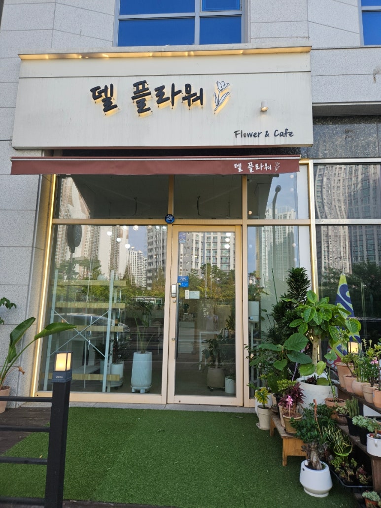 델플라워 이미지