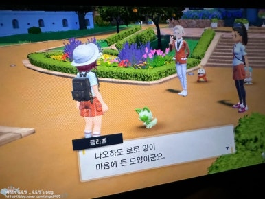 강경스칼렛 이미지